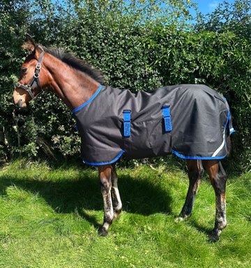 Horseware Ireland Amigo Ripstop 900D Foal Turnout - Black/Classic Blue (200g)